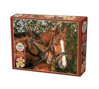 Cobble Hill 3848017 Puzzle pour Enfants à partir de 9 Ans Motif Amis des Chevaux 275 pièces avec Poster