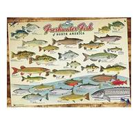 Cobble Hill Freshwater Fish of North America Puzzle (1000 Piece) G