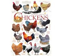 Cobble Hill Puzzle de 1000 pièces avec citations de poulet - Poster d'échantillon inclus