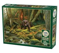 Cobble Hill Puzzle de 1000 pièces - Mère Nature - Poster d'échantillon Inclus