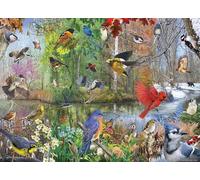 Cobble Hill Puzzle de 1000 pièces - Oiseaux de la saison - Exemple d'affiche incluse