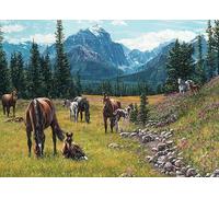 Cobble Hill Puzzle de 1000 pièces - Prairie de chevaux - Exemple d'affiche incluse