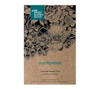 Cobée grimpante (Cobaea scandens) 5 graines, Plante grimpante tropicale annuelle