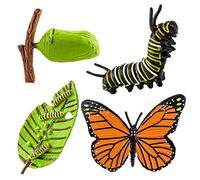 cobee Lot de 4 Figurines d'insectes pour Cycle de Vie des Papillons, Apprentissage préscolaire enseignement des Insectes, Cycle de Croissance des Insectes Jouet réaliste pour l'éducation (Papillons)