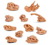 cobee Mini Squelette de Tête de Dinosaure, 11PCS Dino Bones Playset Figurines Fossil de Dinosaure pour Sandbox Dino Tête Figures Dinosaure Crâne Modèle Party Favor Décorations pour Enfants