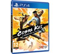Cobra Kai: The Karate Kid Saga Continues PS4