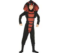 Cobra Ninja, Maternelle, 10-12 Ans