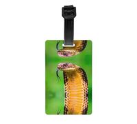 Cobra Snake Lot d'étiquettes à bagages - Identifiants d'identification sécurisés pour voyage, croisière, valises et sacs à dos - Étiquettes en PVC robustes