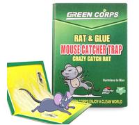 Cobye - Lot de 6 Pieges à colle souris 24 cm Plaque adhesive ultra puissante anti souris et rats sans poison- anti rongeurs maison