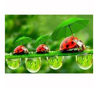 Coccinelle à parapluie vert Diamond Painting Kit, pour Salon Chambre Maison Décor DIY 5D Strass Complet Peinture Diamant Set pour Adulte Noël Complet Ronde Perles Broderie Diamant 50x70cm E-1631