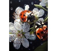 Coccinelle Diamond Painting, 5D Fleur Diamond Painting Adulte, DIY Diamond Painting Enfant Broderie Diamant Kit Complet, Perle Diamant a Coller Craft Peinture pour Décoration Murale Maison 40x53cm