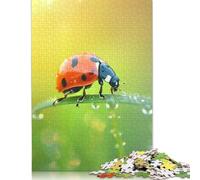Coccinelles se promener 1000 pièces puzzle adulte créatif puzzle rectangulaire papier cadeau puzzle jeu casse-tête jouet 38x26 cm/1000 pièces