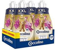 Coccolino Assouplissant Concentré Sandale & Chèvrefeuille 8 litres 320 lavages, 4 x 80 lavages