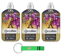 Coccolino Lot de 3 adoucissants concentrés bois de santal et chèvrefeuille Intense Care avec technologie Pro Fibre, format XXL jusqu'à 76 lavages, 1750 ml + porte-clés Beni Culinari