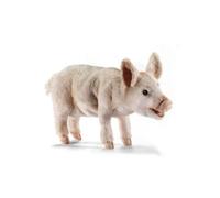 Anima - Peluche Cochon - 30 Cm
