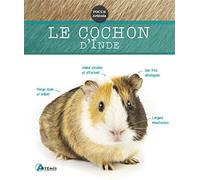 Cochon d'Inde