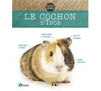 Collectif – Cochon d'Inde