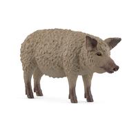 Cochon Mangalica