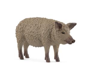 Cochon Mangalica