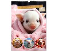 Cochon porte-bonheur, Version française (Calendrier mural 2026 DIN A3 portrait), Calendrier CALVENDO mensuel