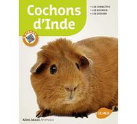 Cochons d'Inde
