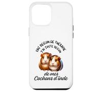 Cochons d'Inde Cadeau Humour Rongeur Femme Homme Coque pour iPhone 12 Pro Max
