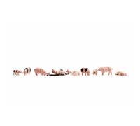 Noch - 36712 - Modélisme Ferroviaire - Cochons - 12 Figurines