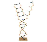 Cochranes of Oxford ADN - Modèle RNA