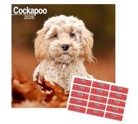 'Cockapoo Calendrier 2025 carré à suspendre au mur avec autocollants de rangement
