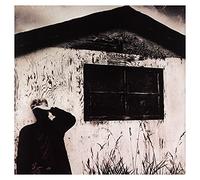 Bruce Cockburn - Nothing But a Burning Light