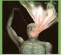 Bruce Cockburn – Stealing Fire – CD – édition Deluxe (import) – True North