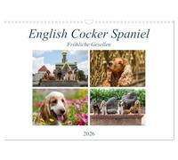 Cocker anglais - Joyeux compagnons, Version française (Calendrier mural 2026 DIN A3 portrait), Calendrier CALVENDO mensuel