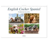 Cocker anglais - Joyeux compagnons, Version française (Calendrier mural 2026 DIN A4 portrait), Calendrier CALVENDO mensuel