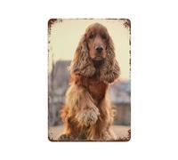 Cocker anglais,Panneau en métal - Plaque murale pour maison, bar, café, salle de jeux, garage-30 x 40 cm (12 x 16 inch) B-17
