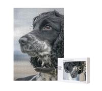 Cocker Spaniel Anglais à Grandes Oreilles bouclées, Noir,Puzzle Familial en Bois de 300 pièces pour Adultes et Adolescents
