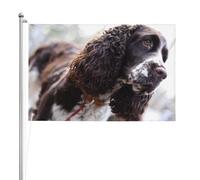 Cocker Spaniel anglais, chiens bouclés blancs brunâtres,Drapeau de jardin, bannière décorative, drapeau double face, 2 x 3 pieds, pour extérieur et intérieur