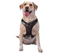 Cocker Spaniel Anglais, Chiens bouclés Blancs brunâtres,Harnais pour Animaux de Compagnie, Harnais réfléchissant réglable pour Chien,XL