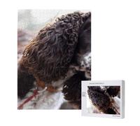 Cocker Spaniel Anglais, Chiens bouclés Blancs brunâtres,Puzzle Familial en Bois de 500 pièces pour Adultes et Adolescents