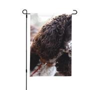 Cocker Spaniel anglais, chiens bouclés brunâtres et blancs, drapeau de jardin d'été double face de 12 x 18 pouces pour l'extérieur