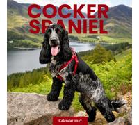 Cocker Spaniel Calendar 2027: Dog Portraits and Outdoor Scenes