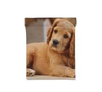 Cocker Spaniel Chiot Petit Épagneul Chiens Animaux, Sac de Rangement pour Femmes, Portefeuille supérieur à Presser, Petit Porte-Monnaie, Pochette de Changement