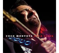 Coco Montoya Hard Truth (CD) Album