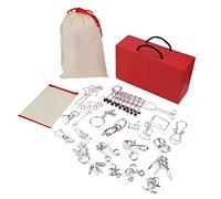 Cocoarm 20 Pièces Jeu de Puzzles en Fil Métallique, Casse-tête IQ pour Entraînement Cérébral Jouets éducatifs, avec Boîte Cadeau en Acier Anti-Rouille, pour Enfants Adultes Cadeau de