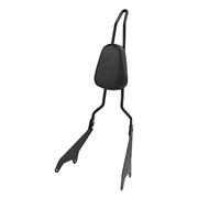 Cocoarm Dossier de Passager Arrière Détachable avec Coussin en Alliage d'acier, Dossier de Siège Arrière de Moto, Installation Facile, Support Inférieur du Dos pour Star XV950 XVS950 2014 2019