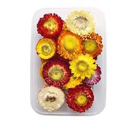 Cocoarm Fleur Séchée Accessoires de Bricolage Réglemente les Fleurs Séchées Mélangées pour L'artisanat 17x12x4cm Matériaux de Bricolage avec L'amorçage de L'amant de Marguerite à (rouge orange)