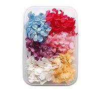 Cocoarm Fleur Séchée Accessoires de Bricolage Réglemente les Fleurs Séchées Mélangées pour L'artisanat 17x12x4cm Matériaux de Bricolage avec L'amorçage de L'amant de Marguerite à (multicolore)