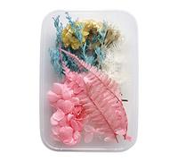 Cocoarm Fleur Séchée Accessoires de Bricolage Réglemente les Fleurs Séchées Mélangées pour L'artisanat 17x12x4cm Matériaux de Bricolage avec L'amorçage de L'amant de Marguerite à (PINK)