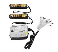 Cocoarm Télécommande de Grue sans Fil, Télécommande Industrielle de Grue de Levage ABS YU 10D avec Indicateur d'alimentation LED, Résistant à l'eau Anti-chute, pour les Opérateurs de Levage de à