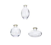 Cocoarm Vase à Fleurs en Verre Petit Vase en Verre Lot de 3, Vases Art Déco Minimalistes pour Centrepieces Mariage Décoration Maison en Verre Épais et Lourd 5 Couleurs au Choix (2)