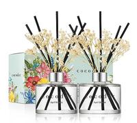 COCODOR Diffuseur à roseaux de Fleurs Conservées/Brise d'avril (April Breeze) / 200ml, 2 Paquets/Parfum Ambiance, Diffuseur Parfum Maison, Cadeau pour Femmes, Cadeau Fête des Mères